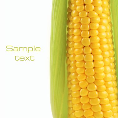 Corn on a white background clipart