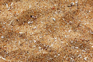 Beach sand of grinded sea shells clipart