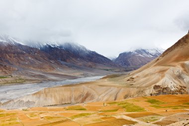 Fields in Spiti Valley clipart