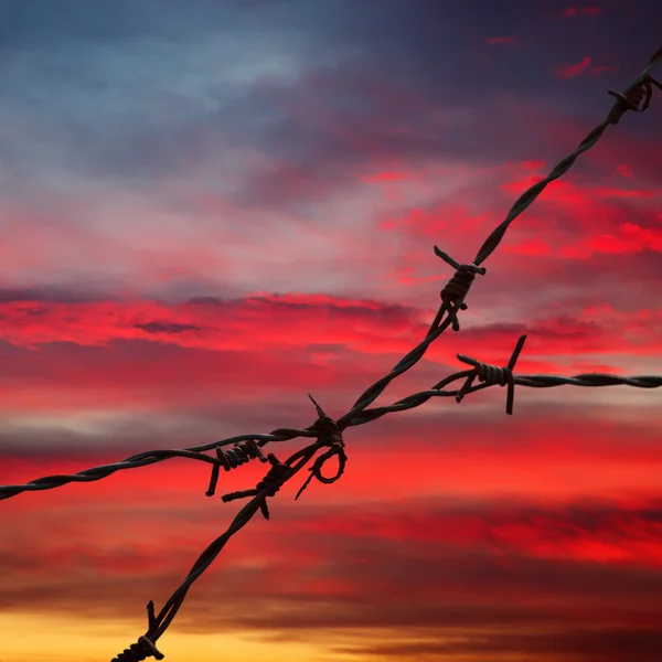 Stacheldraht am Himmel des Sonnenuntergangs — Stockfoto