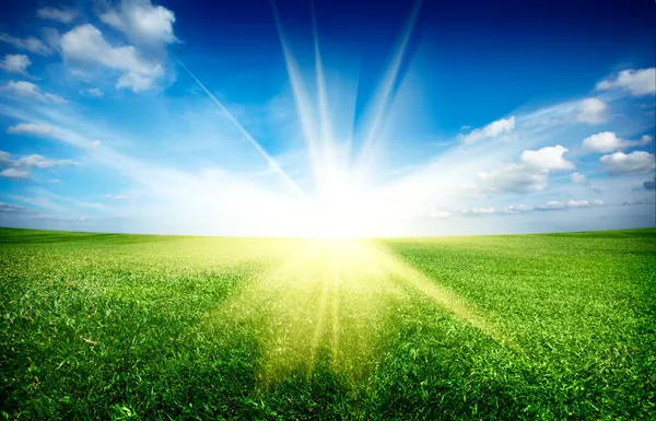 Захід сонця і поле зеленої свіжої трави під блакитним небом — стокове фото