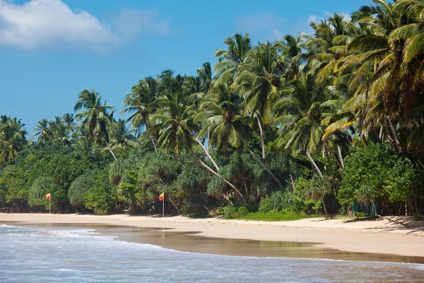 Ειδυλλιακή παραλία. Σρι Λάνκα — Φωτογραφία Αρχείου