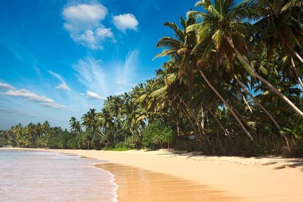 Playa idílica. Sri Lanka —  Fotos de Stock