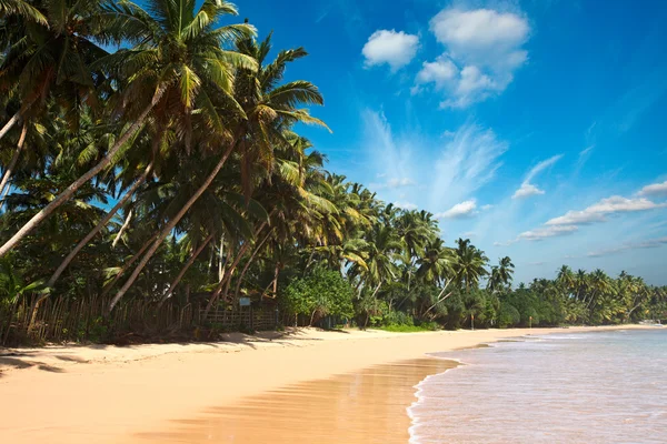 田园诗般的海滩。斯里兰卡 — 图库照片