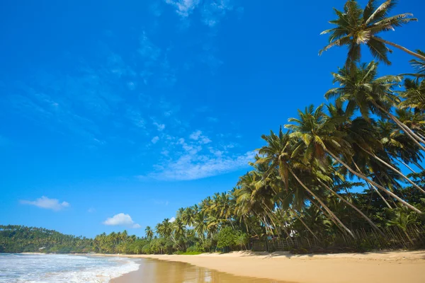 Spiaggia idilliaca. Sri Lanka — Foto Stock