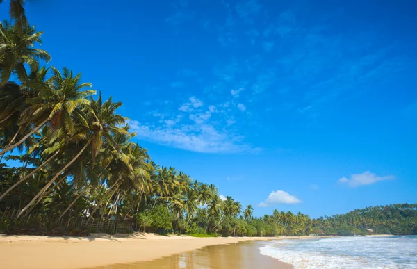 Idyllic beach. Sri Lanka — Stock Photo, Image