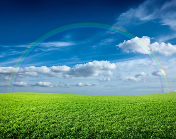 stock image Meadow under blue sky and rainbow