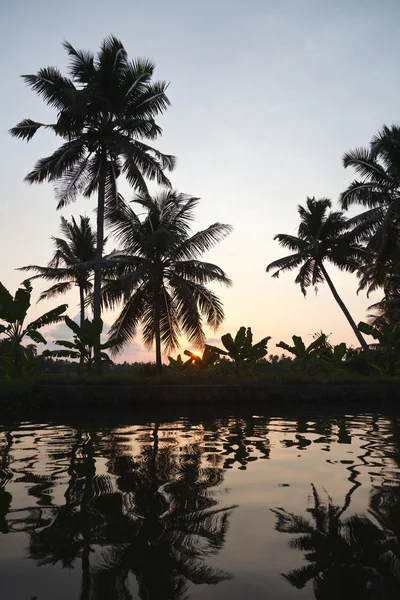 Puesta de sol en los remansos de Kerala —  Fotos de Stock