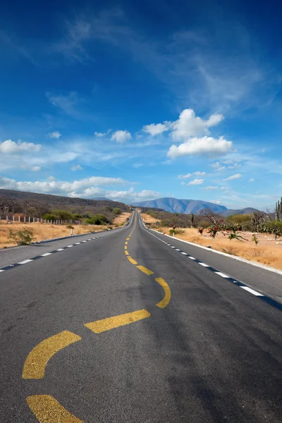 Kronkelende lane markering op weg in woestijn — Stockfoto