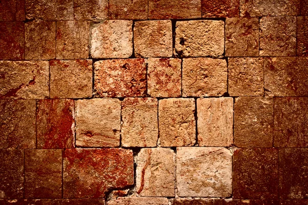 Kamienna ściana ruin Majów — Zdjęcie stockowe
