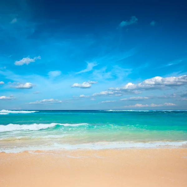 Yazın güzel plaj — Stok fotoğraf