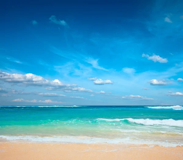 Beautiful beach in summer — Stock Photo, Image