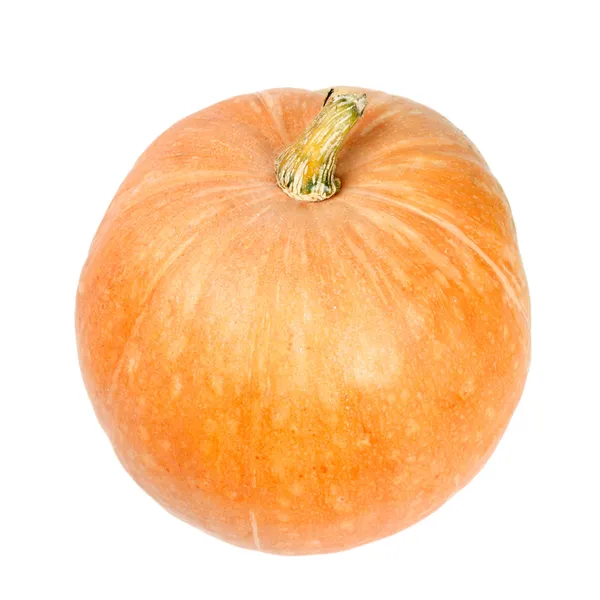 Big pumpkin isolated — Stock Photo, Image