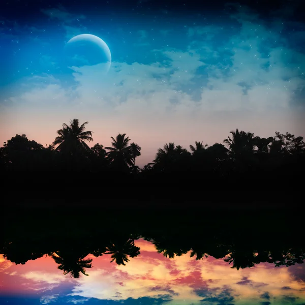 Noche tropical mágica — Foto de Stock