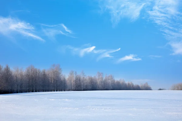 stock image Winter landscape