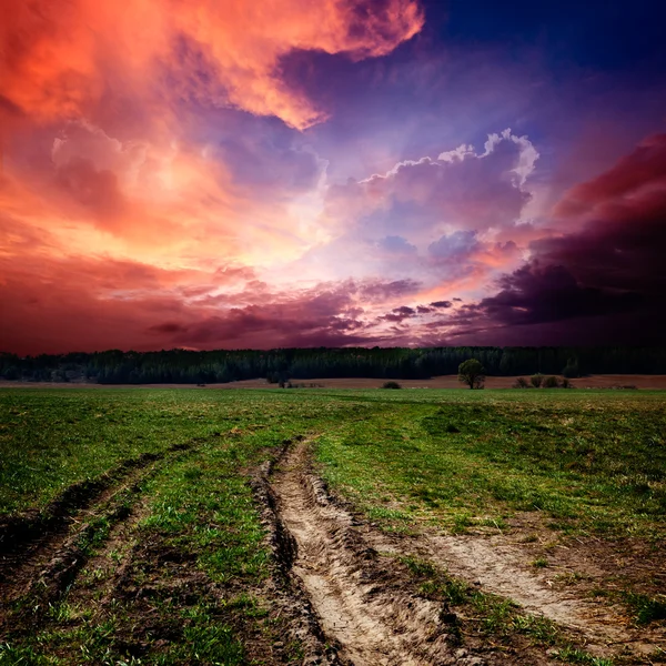 Countryside landscape with dirt road — Stock Photo, Image