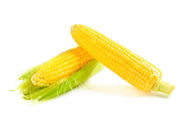 Kukorica csövek — Stock Fotó