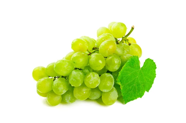 Grono świeżych winogron biały — Zdjęcie stockowe