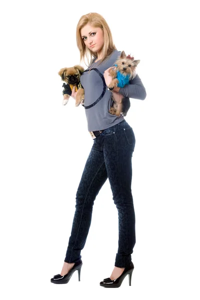 Söt ung blondin poserar med två hundar — Stockfoto