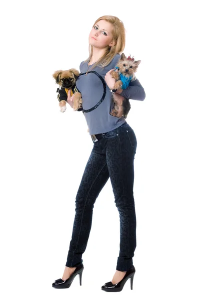 Attraktive junge Blondine posiert mit zwei Hunden — Stockfoto