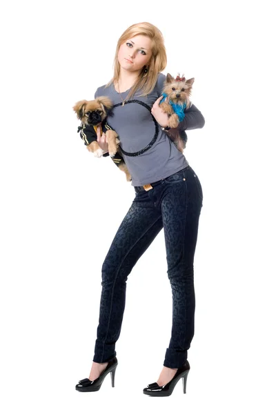 Bella bionda in posa con due cani — Foto Stock