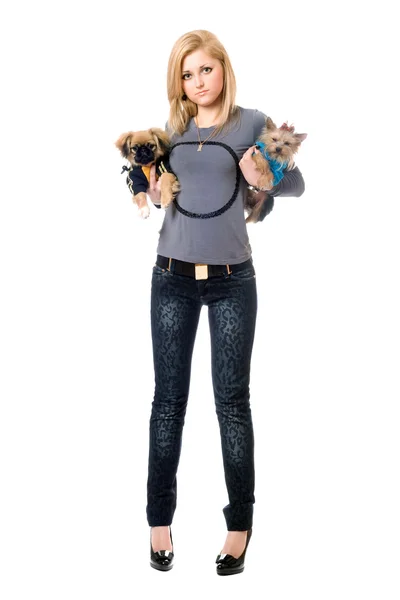 Lovely young blonde posing with two dogs — Stock Photo, Image