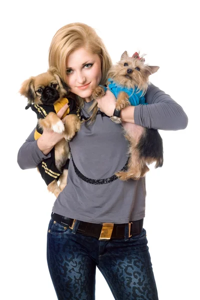 Sorridente bionda in posa con due cani — Foto Stock