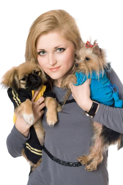 Retrato de loira bonita com dois cães. Isolados — Fotografia de Stock