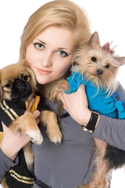 Retrato de hermosa rubia con dos perros. Aislado —  Fotos de Stock