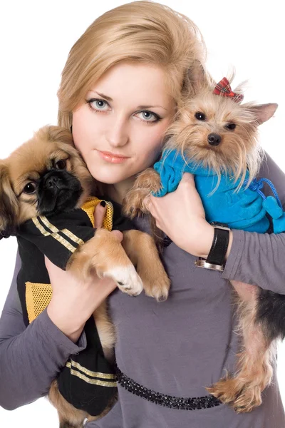 魅力的な金髪の女性は 2 匹の犬の肖像画。分離されました。 — ストック写真