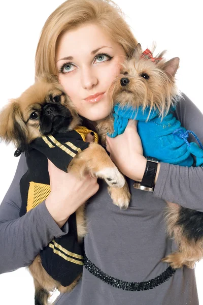 魅力的な若い金髪の女性は 2 匹の犬の肖像画。分離されました。 — ストック写真