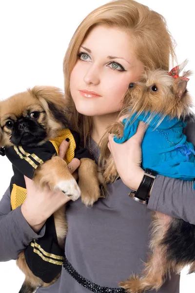 Πορτρέτο του αρκετά Νεαρά ξανθιά με δύο σκυλιά. απομονωμένη — Φωτογραφία Αρχείου