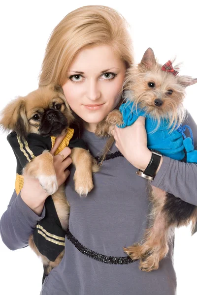 Portrait of lovely blonde with two dogs Royalty Free Stock Photos