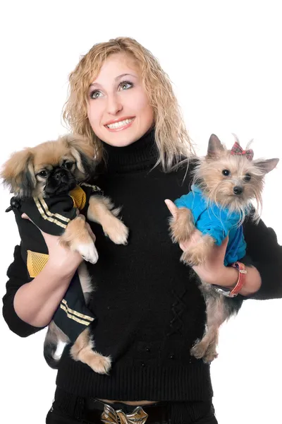 Portrait of smiling pretty blonde with two dogs Stock Picture