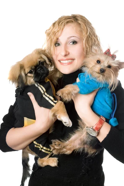 Portrait of smiling pretty blonde with two dogs. Isolated Stock Image