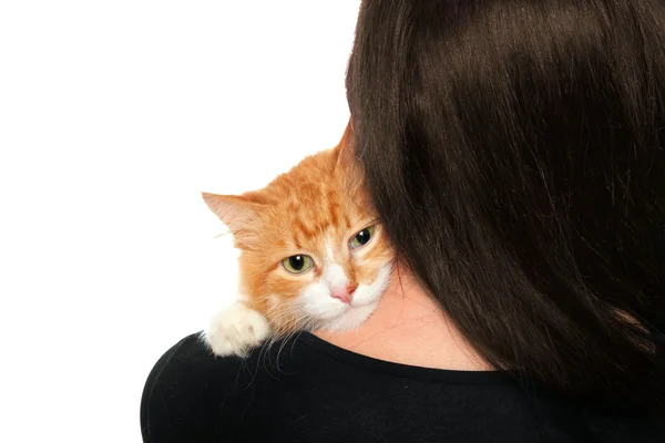 Котенок на женских плечах — стоковое фото