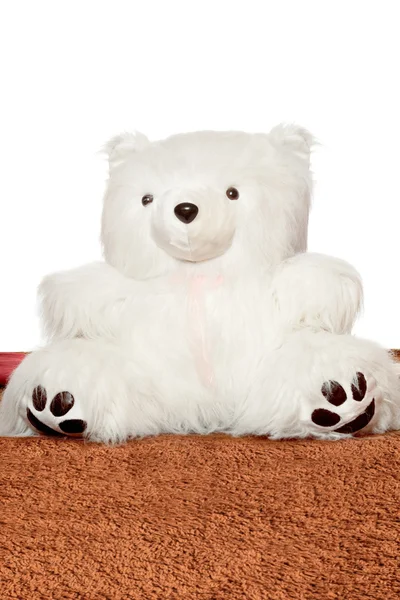 Urso de pelúcia branco grande — Fotografia de Stock
