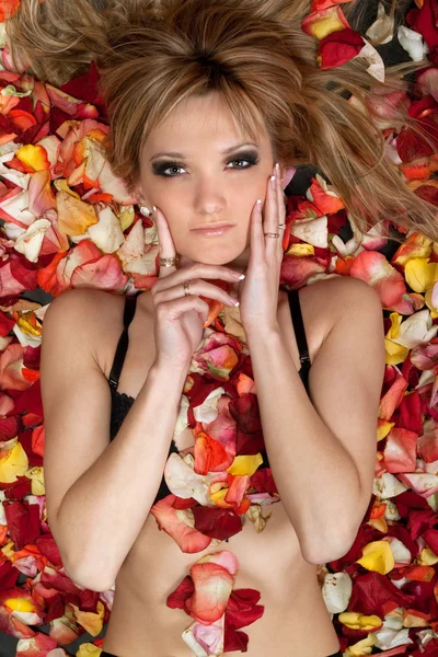 Ładna blondynka leżącego w płatkach róży — Zdjęcie stockowe