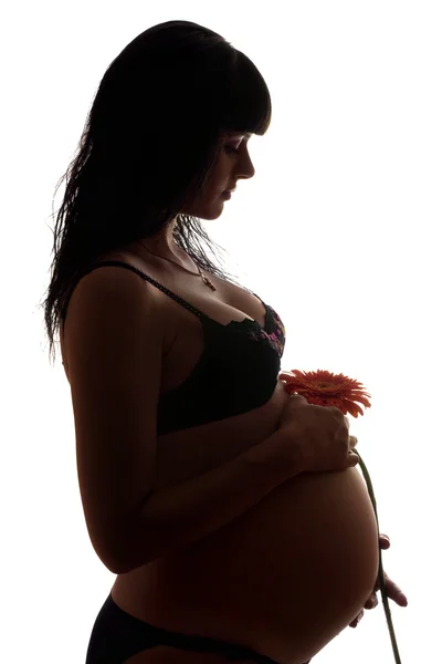 Pregnant young brunette with flower. Isolated — Stock Photo, Image