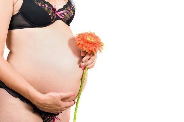 Vientre de una chica embarazada. Aislado — Foto de Stock