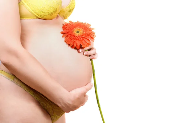 Břicho těhotné mladé ženy — Stock fotografie