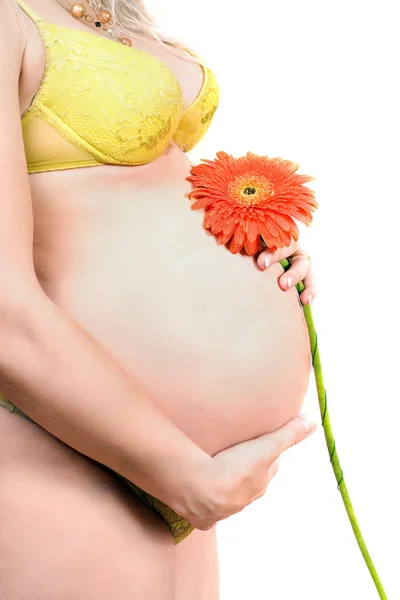Buik van een zwangere jonge vrouw met bloem — Stockfoto