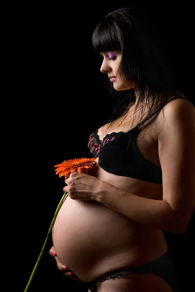 Hamile genç esmer kırmızı çiçek. izole — Stok fotoğraf