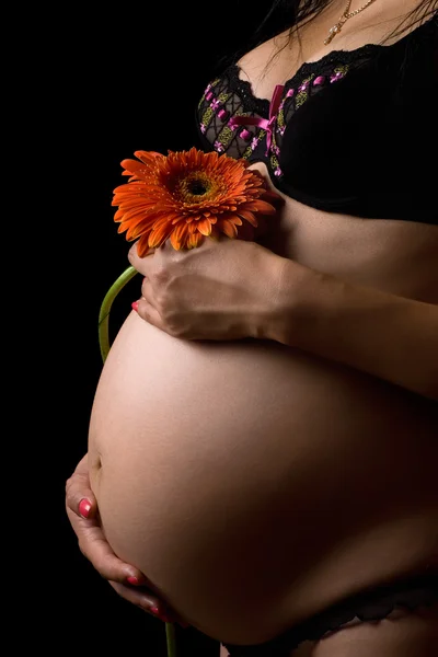 Břicho těhotné ženy s květem. samostatný — Stock fotografie