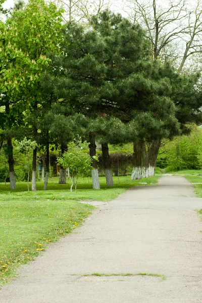 Stock image Footpath in park