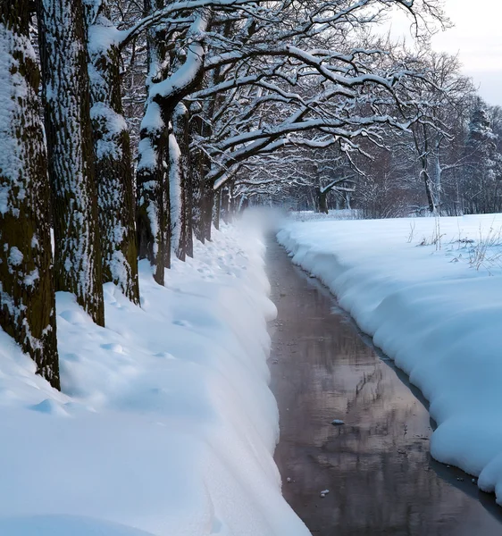Inverno parco ruscello nella neve — Foto Stock