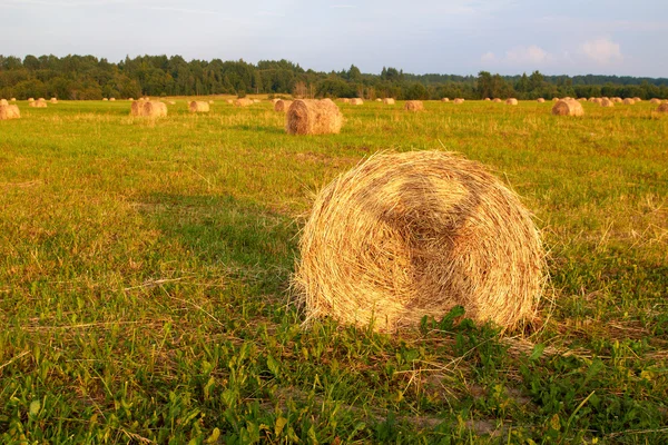 Hay Bales with girl shadow — Stock Photo, Image