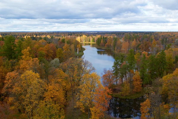 ağaçlar ve göl. Gatchina park. St. petersburg