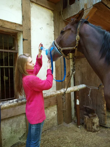 Девочка-лошадь угощает — стоковое фото