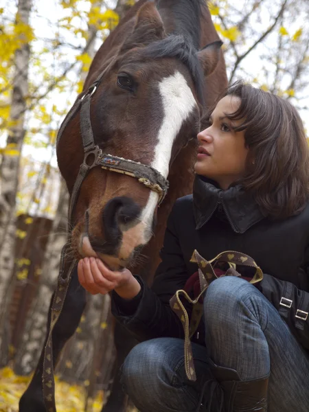 Dziewczyna i koń — Zdjęcie stockowe